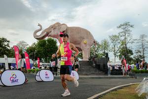 BIB: 
                            <button type="button" onclick="openModal(26528380)" class="btn btn-primary btn-sm float-right btn-popup" data-toggle="modal" data-target=".modal-high-quality">
                        <i class="fas fa-shopping-cart"></i> Add to Cart
                    </button>
                                            <button type="button" onclick="isThisMe(26528380, true)" class="btn btn-success btn-sm float-right btn-popup btn-isme hidden" data-toggle="tooltip" data-placement="bottom" title="นี่คือรูปของคุณใช่ไหม คลิกที่นี่เพื่อเอาเข้าอัลบั้ม">
                        <i class="fas fa-plus"></i> Add to album
                    </button>
                    <button type="button" onclick="isThisMe(26528380, false)" class="btn btn-warning btn-sm float-right btn-popup btn-isnotme hidden">
                        <i class="fas fa-ban"></i> Remove from album
                    </button>